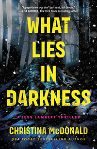 What Lies In Darkness cover