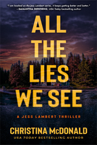 All The Lies We See cover